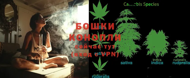 Бошки Шишки SATIVA & INDICA  Закаменск 